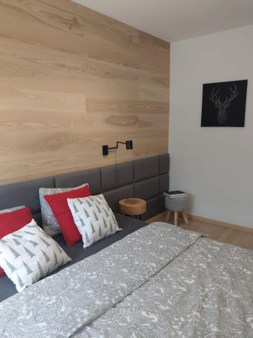Widokowy Apartament Jodlowa Ski&Bike シュチルク エクステリア 写真